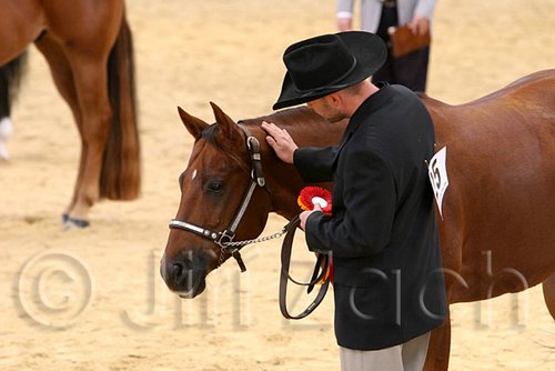 QH062_0400n.jpg