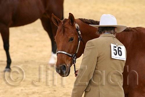 QH062_0401n.jpg