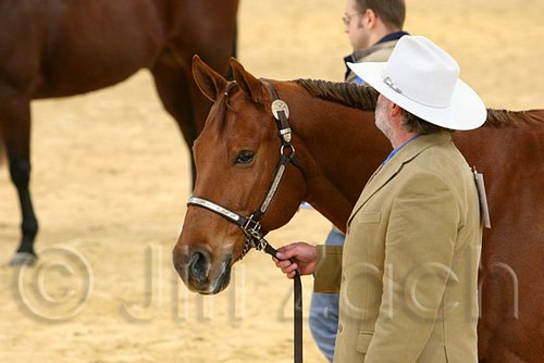 QH062_0402n.jpg