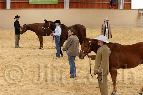 QH062_0403n.jpg