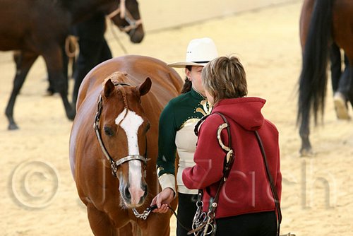 QH062_0404n.jpg