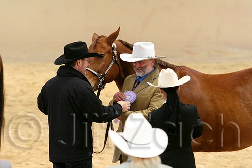 QH062_0410n.jpg