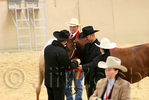 QH062_0415n.jpg