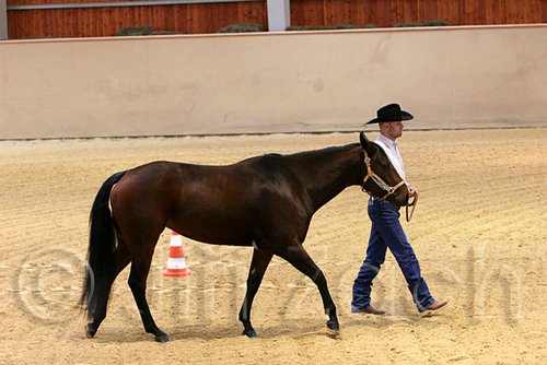 QH062_0416n.jpg