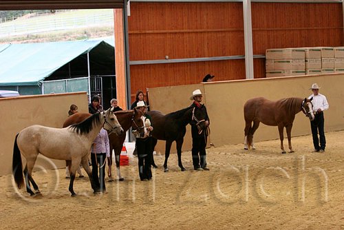 QH062_0418n.jpg