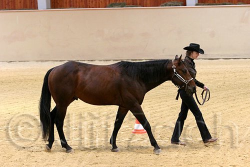 QH062_0419n.jpg