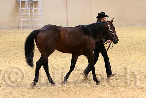 QH062_0420n.jpg