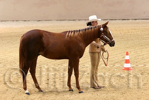 QH062_0421n.jpg