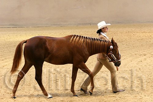 QH062_0423n.jpg