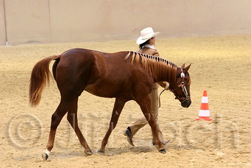 QH062_0424n.jpg
