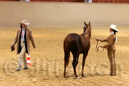 QH062_0425n.jpg
