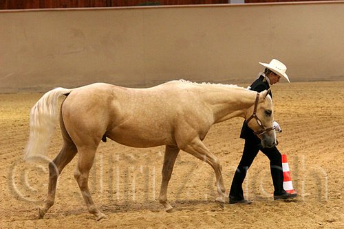 QH062_0426n.jpg