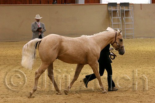 QH062_0427n.jpg