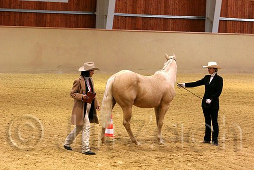 QH062_0428n.jpg