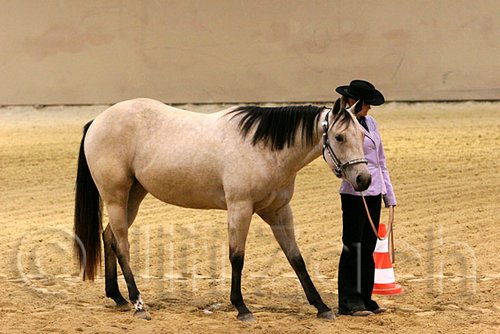 QH062_0430n.jpg