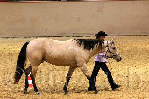 QH062_0431n.jpg