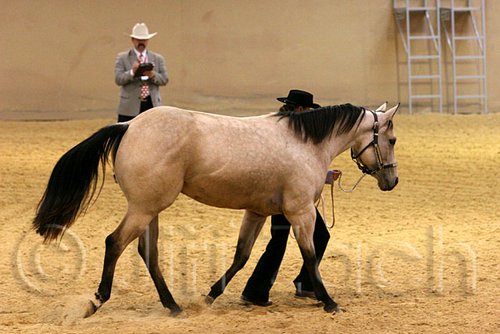 QH062_0432n.jpg