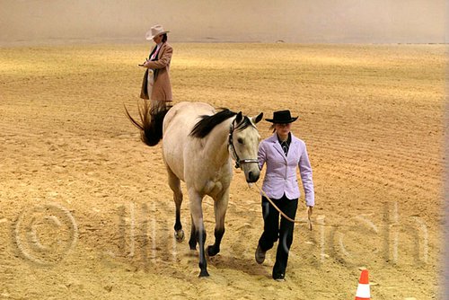 QH062_0433n.jpg