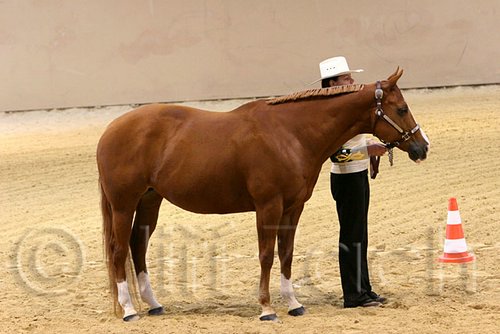 QH062_0434n.jpg