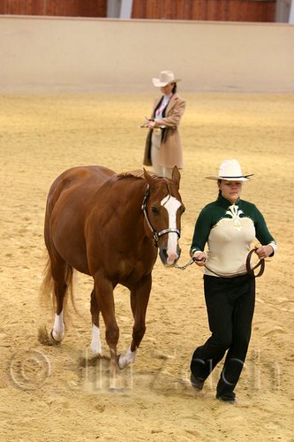 QH062_0437n.jpg