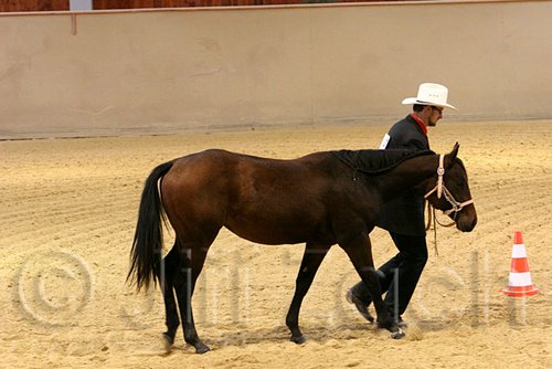 QH062_0438n.jpg