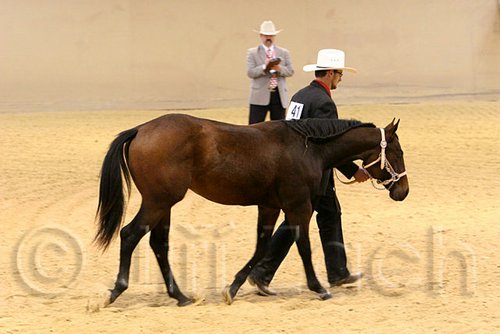 QH062_0439n.jpg