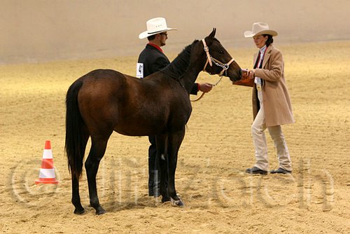 QH062_0440n.jpg