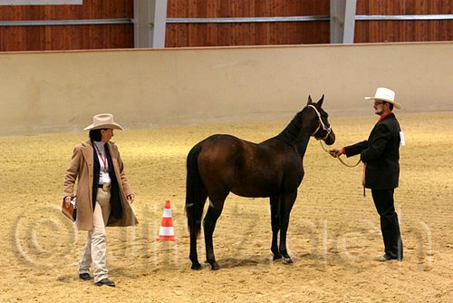 QH062_0441n.jpg