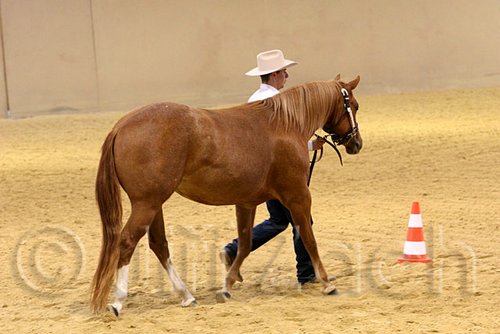 QH062_0444n.jpg