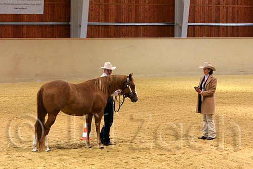 QH062_0445n.jpg