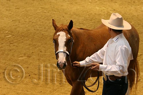 QH062_0446n.jpg