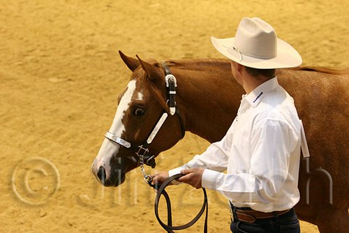 QH062_0447n.jpg