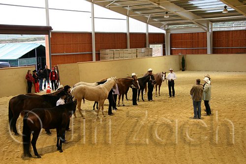 QH062_0450n.jpg