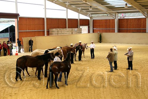 QH062_0452n.jpg