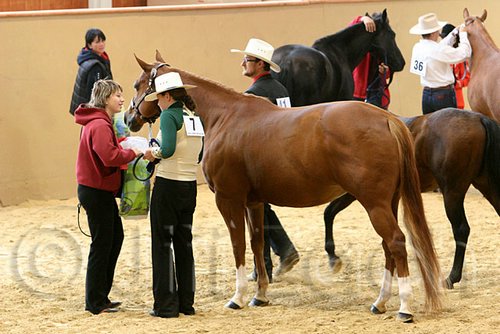 QH062_0465n.jpg