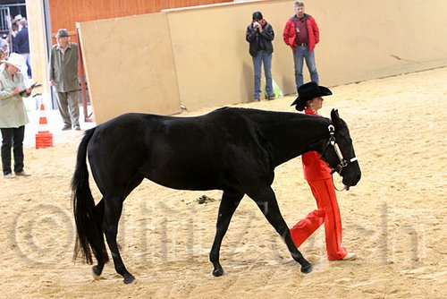 QH062_0466n.jpg