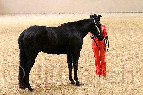 QH062_0467n.jpg