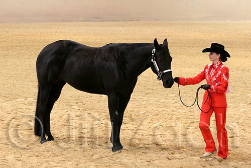 QH062_0469n.jpg