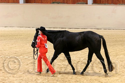 QH062_0473n.jpg