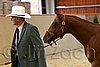 QH062_0228n.jpg