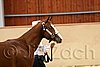 QH062_0231n.jpg