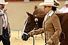 QH062_0234n.jpg