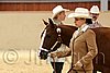 QH062_0235n.jpg