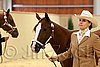 QH062_0236n.jpg
