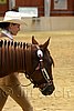 QH062_0237n.jpg