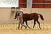QH062_0238n.jpg