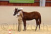 QH062_0239n.jpg
