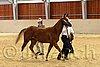 QH062_0240n.jpg