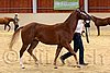 QH062_0241n.jpg