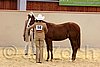 QH062_0242n.jpg